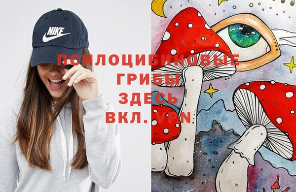 кокс Алзамай